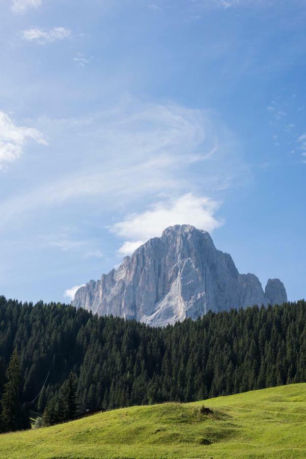 Villa Insam Selva di Val Gardena Eksteriør bilde